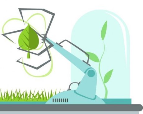What is a bionic leaf? A bionic leaf takes sunlight and water and turns it into usable fuels.